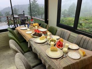 zenimos bungalov - 2