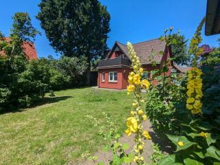 Rotdorn - Wieck - 1