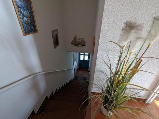 Lütt Stuuv - Born - 1