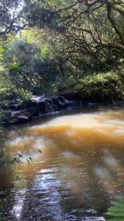 Hotel Fazenda Capao do Indio - 4
