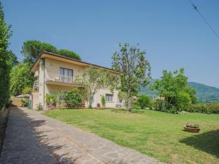 Apartment Gerry House-2 by Interhome - Camaiore - 9
