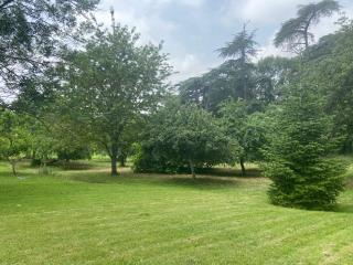 La Grange de garac - Saint-Christaud - 4