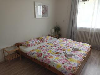 Apartmán Rose - Ostopovice - 6