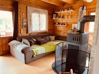 VillaHarmony wartet auf Familien mit Hund! - Lommatzsch - 6