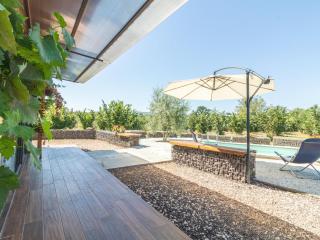 Chalet Il Vitigno by Interhome - 4