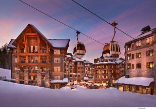 Luxury Northstar Home Walk to Lifts Private Hot-Tub Fenced-In Yard Book on Mobile for Promo Price - 7