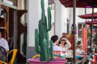 Whitelaw Hotel - Miami Beach - 2
