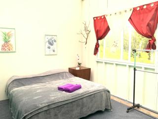 Convenient rustic studio in tropical garden - 8