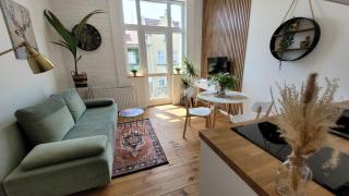 Klimatyczny apartament w sercu Bydgoszczy - 8