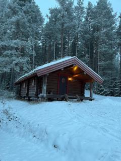 Skogcamping - Bjørnstad - 1