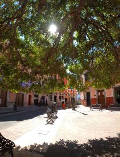Alonso53 - Guanajuato - 6