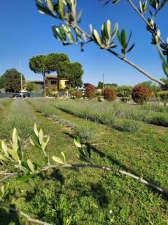 CaSAle - Castelfidardo - 0