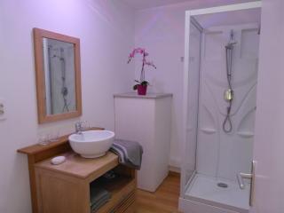 le 99B Modern apartment queen size bed connected TV - Hallennes-lès-Haubourdin - 8