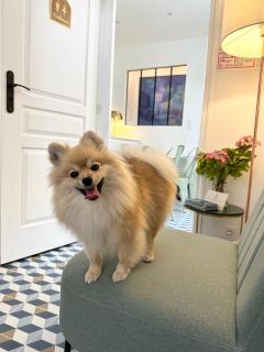 Villa Jade Etretat - 8