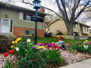 Home away from home Large Backyard by Lake Loveland - 5