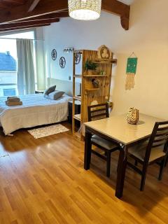 Moderno LOFT centrico - Bariloche - 0