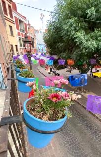 Alonso53 - Guanajuato - 3