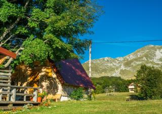Maple village - Žabljak - 9