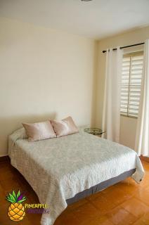 pineapple hospitality - Mayaguez - 7