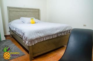pineapple hospitality - Mayaguez - 2