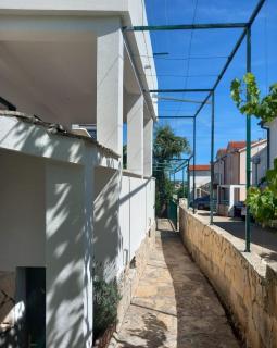 Apartments by the sea Rogoznica - 20165 - Rogoznica - 3