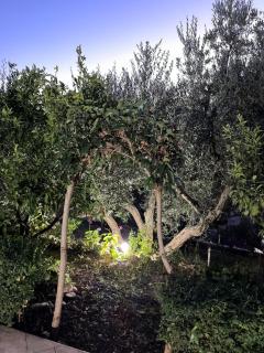 Vila Gaia - Valona - 7