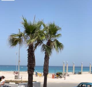 La Veranda sul Mare - San Foca - 7