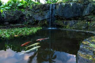 Hana Kai Maui - #104 Haneoʻo - Hana - 2