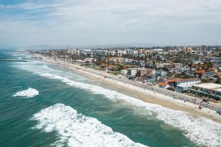 The Shining Sea Octopus - Oceanside - 3