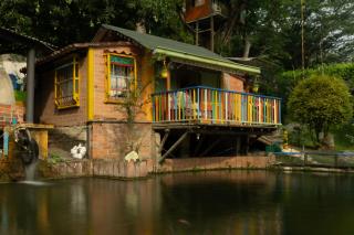 Eco Hotel El Acuario - San Jerónimo - 1