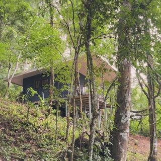 Deer Houses Cabuya - Cabuya - 9