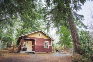 Cozy cabin on the Olympic Peninsula, Hot Tub - 8