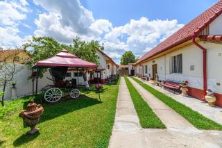 Pensiunea Roma Antica - Hărman - 6
