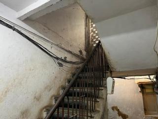 Robin Studio Bandra W The Bombay Home Company - Eco - Mumbai - 7