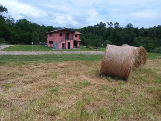 Dalla Gina e Paolino B&B - Aulla - 4
