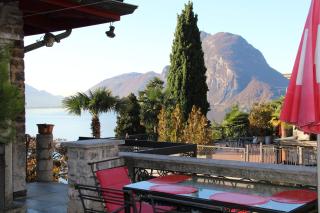 Barony Agave - Lugano - 1