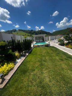 Casa din raiul Ardelean - Valea Viilor - 7