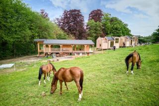 Les Cabanes Champêtres - Le Domaine des Trois Tilleuls - Villers-la-Ville - 3