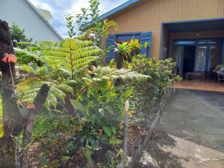 Grande Maison atypique proche du Maïdo - 4