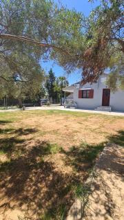 Seaside House - Paralia Dionysiou - 1