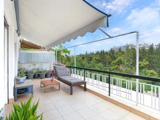 Central Pagrati Apartment with Park View Balcony - opp Pangrati Grove - Atene - 0