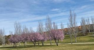 Leganés centro - Leganés - 1