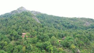 Avadale Wayanad - Stag Groups Not Allowed - 2