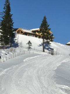 Flott hytte på Voss midt i skiløypen - - 2