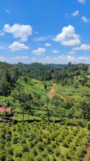 MollyAnne studio - Nairobi - 7