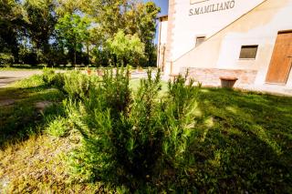 Agriturismo Bio San Mamiliano - 5