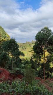 MollyAnne studio - Nairobi - 1