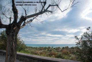 Verde oleandro & Blu mare - 8