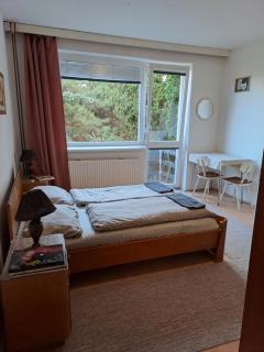 Apartmán s terasou - Olomouc - 1