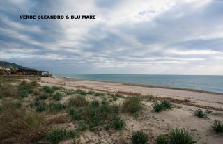Verde oleandro & Blu mare - 9
